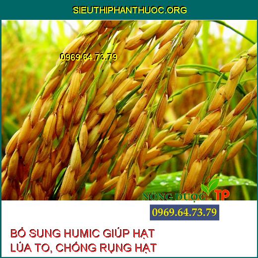 HOẠT CHẤT HUMIC