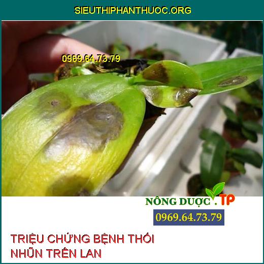 THỐI NHŨN