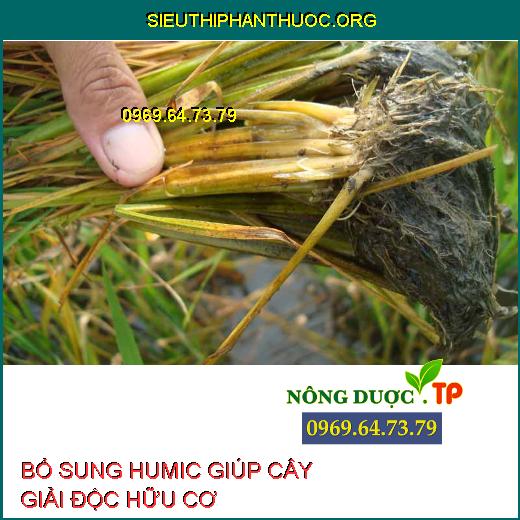 HOẠT CHẤT HUMIC