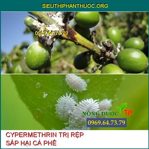 CYPERMETHRIN