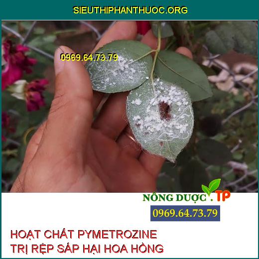 PYMETROZINE