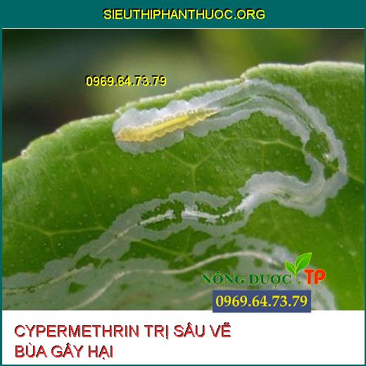 CYPERMETHRIN