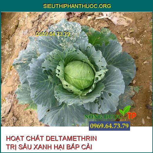 DELTAMETHRIN