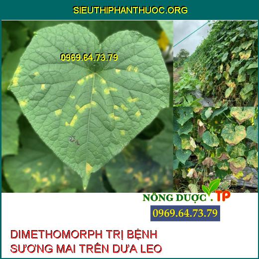 DIMETHOMORPH