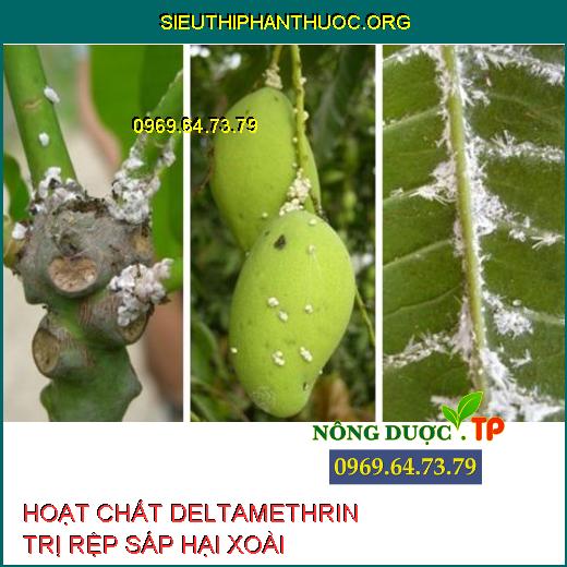 DELTAMETHRIN