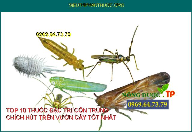 Top 10 Thuốc diệt trừ côn trùng chích hút hiệu quả cho cây trồng P.1 ...