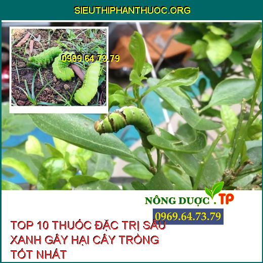 Top 10 Thuốc Đặc Trị Sâu Xanh Gây Hại Trên Cây Trồng Tốt Nhất.