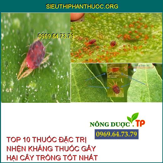 NHỆN KHÁNG THUỐC