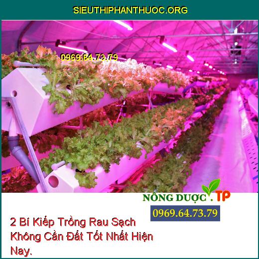 2 Bí Kiếp Trồng Rau Sạch Không Cần Đất Tốt Nhất Hiện Nay.