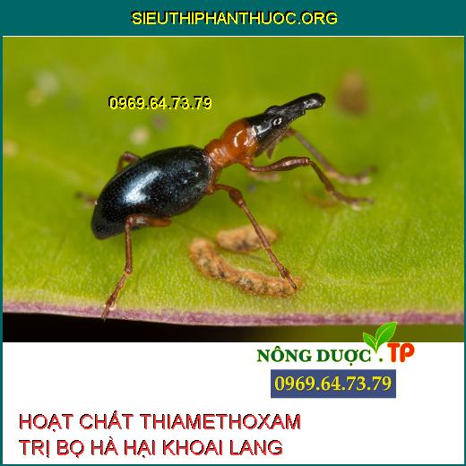 THIAMETHOXAM