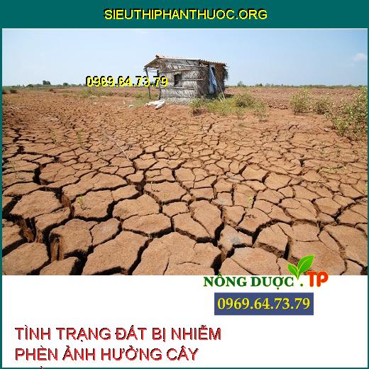 ĐẤT PHÈN