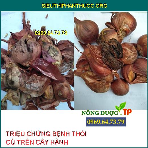 THỐI CỦ