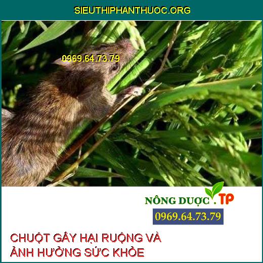 DIỆT CHUỘT