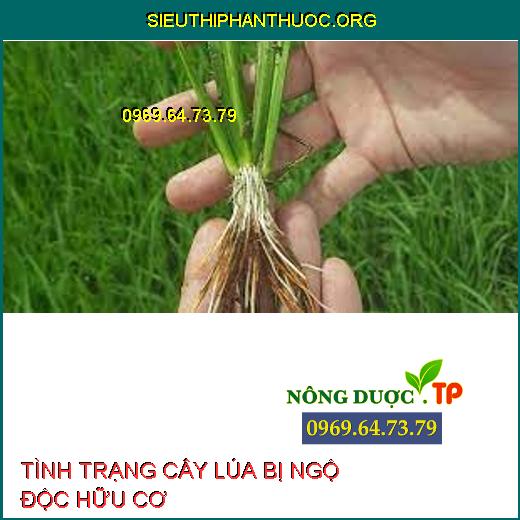 NGỘ ĐỘC HỮU CƠ