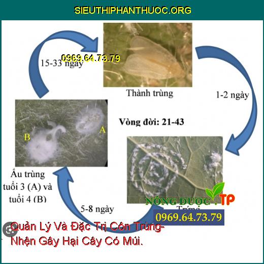 https://sieuthiphanthuoc.org/ray-phan-trang-bo-phan-trang