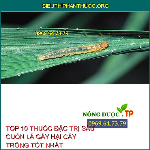 Sâu Cuốn Lá Gây Hại Trên Lúa Và Top 10 Thuốc Diệt Trừ Tốt Nhất.