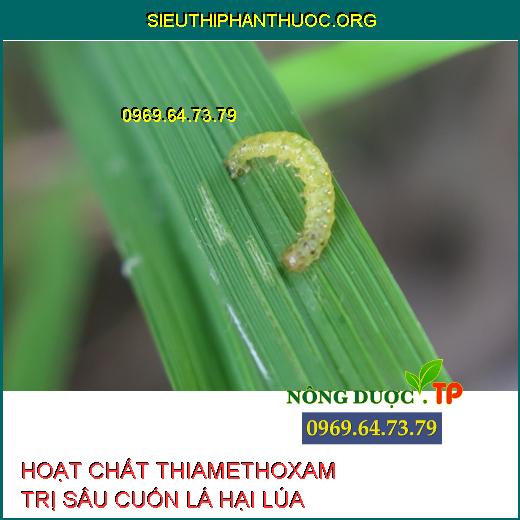 THIAMETHOXAM