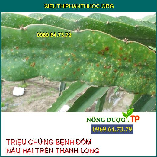 ĐỐM NÂU