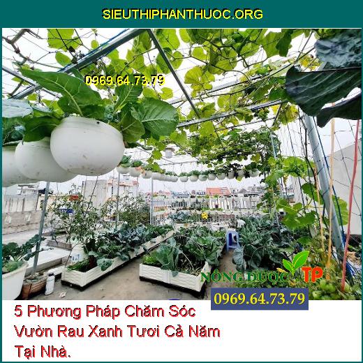 5 Phương Pháp Chăm Sóc Vườn Rau Xanh Tươi Cả Năm Tại Nhà.