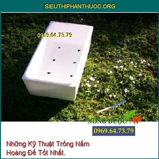 Những Kỹ Thuật Trồng Nấm Hoàng Đế Tốt Nhất.