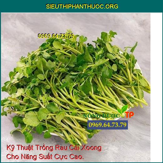 Kỹ Thuật Trồng Rau Cải Xoong Cho Năng Suất Cực Cao.