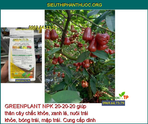 GREENPLANT NPK 20-20-20