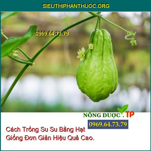 Cách Trồng Su Su Bằng Hạt Giống Đơn Giản Hiệu Quả Cao.