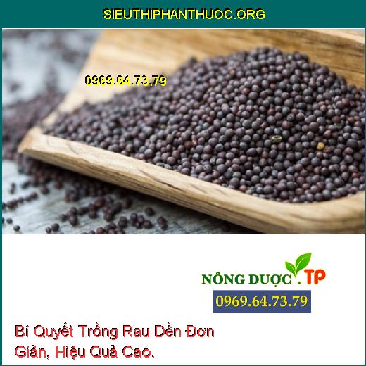 Bí Quyết Trồng Rau Dền Đơn Giản, Hiệu Quả Cao.