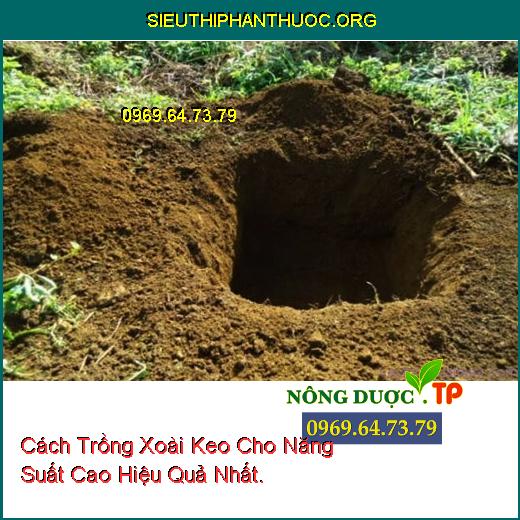 Cách Trồng Xoài Keo Cho Năng Suất Cao Hiệu Quả Nhất.