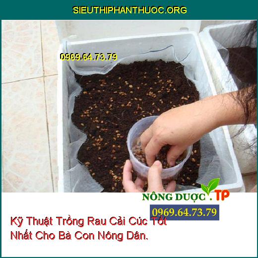 Kỹ Thuật Trồng Rau Cải Cúc Tốt Nhất Cho Bà Con Nông Dân.