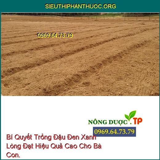 Bí Quyết Trồng Đậu Đen Xanh Lòng Đạt Hiệu Quả Cao Cho Bà Con.