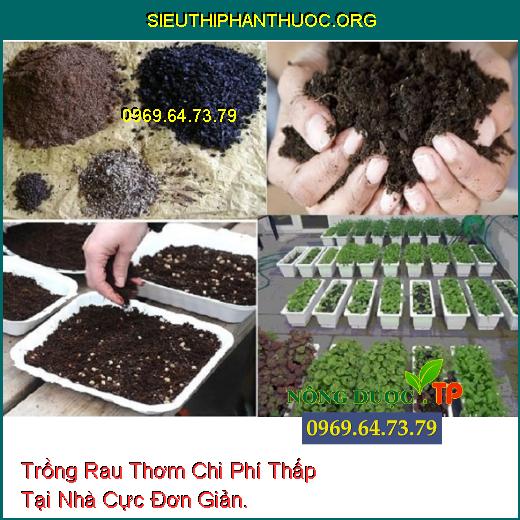 Trồng Rau Thơm Chi Phí Thấp Tại Nhà Cực Đơn Giản.