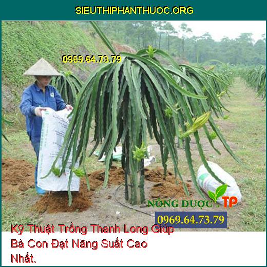 Kỹ Thuật Trồng Thanh Long Giúp Bà Con Đạt Năng Suất Cao Nhất.