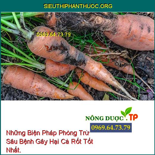 Những Biện Pháp Phòng Trừ Sâu Bệnh Gây Hại Cà Rốt Tốt Nhất.