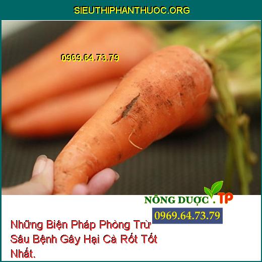 Những Biện Pháp Phòng Trừ Sâu Bệnh Gây Hại Cà Rốt Tốt Nhất.