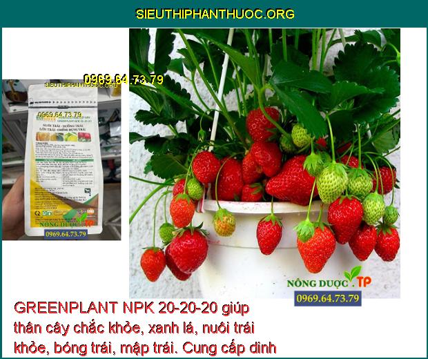 GREENPLANT NPK 20-20-20