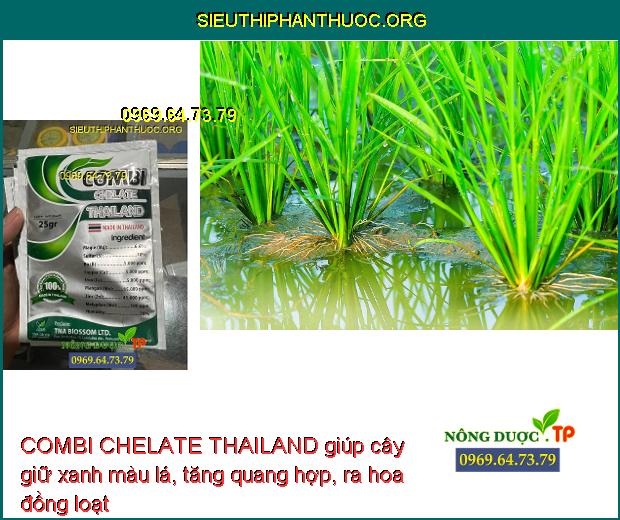 COMBI CHELATE THAILAND