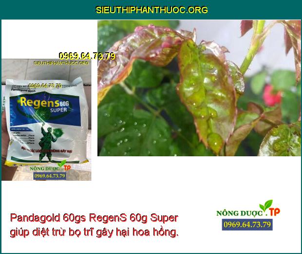 Pandagold 60gs RegenS 60g Super giúp diệt trừ bọ trĩ gây hại hoa hồng. 