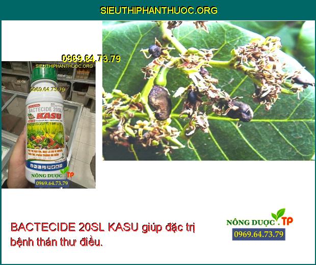 BACTECIDE 20SL KASU giúp đặc trị bệnh thán thư điều. 