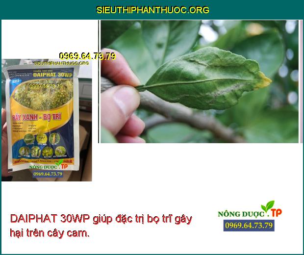 DAIPHAT 30WP giúp đặc trị bọ trĩ gây hại trên cây cam.
