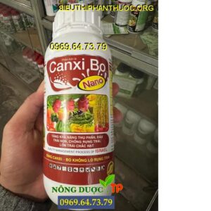 CANXI Bo Nano
