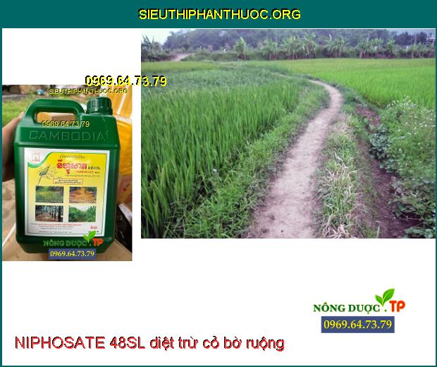 NIPHOSATE 48SL