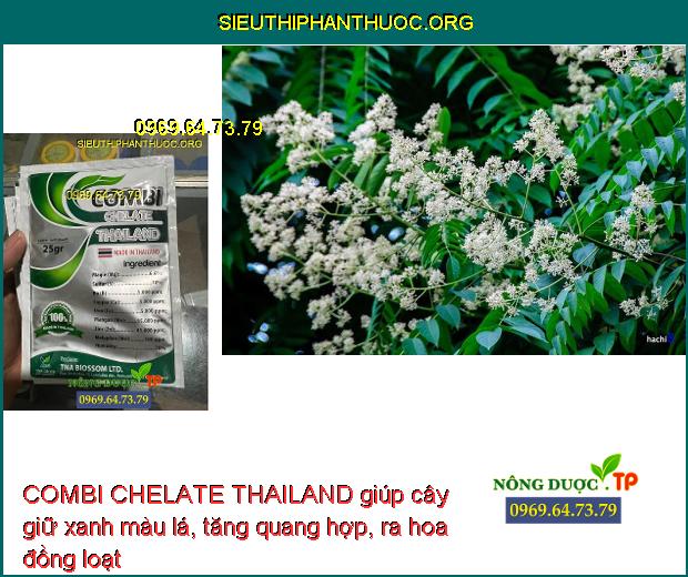 COMBI CHELATE THAILAND