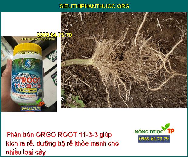 ORGO ROOT 11-3-3