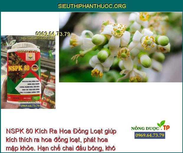 NSPK 80 Kích Ra Hoa Đồng Loạt giúp kích thích ra hoa đồng loạt, phát hoa mập khỏe. Hạn chế chai đầu bông, khô đen bông.