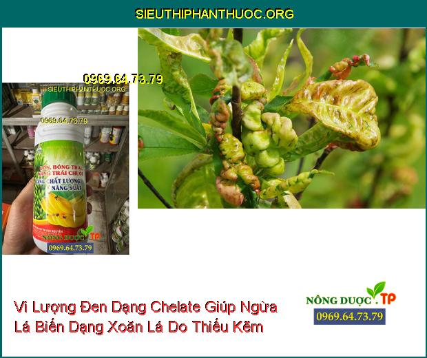 Vi Lượng Đen Dạng Chelate