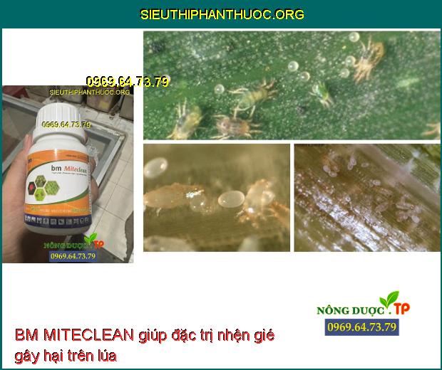 BM MITECLEAN