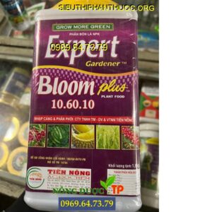Bloom Plus Food 10-60-10