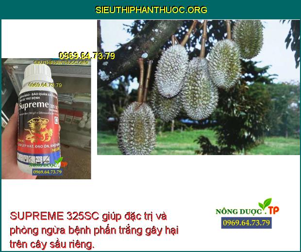 SUPREME 325SC giúp đặc trị và phòng ngừa bệnh phấn trắng gây hại trên cây sầu riêng.