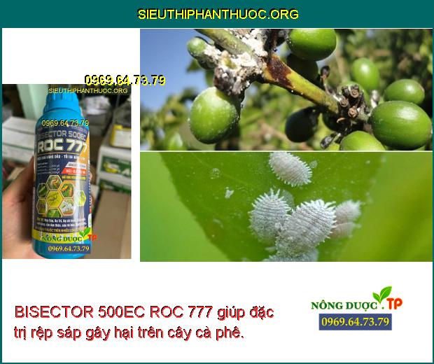 BISECTOR 500EC ROC 777 giúp đặc trị rệp sáp gây hại trên cây cà phê.